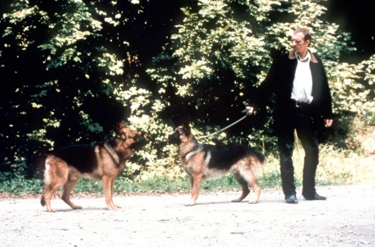 Rex felügyelő (Kommissar Rex IV), 1997 - fotogaléria