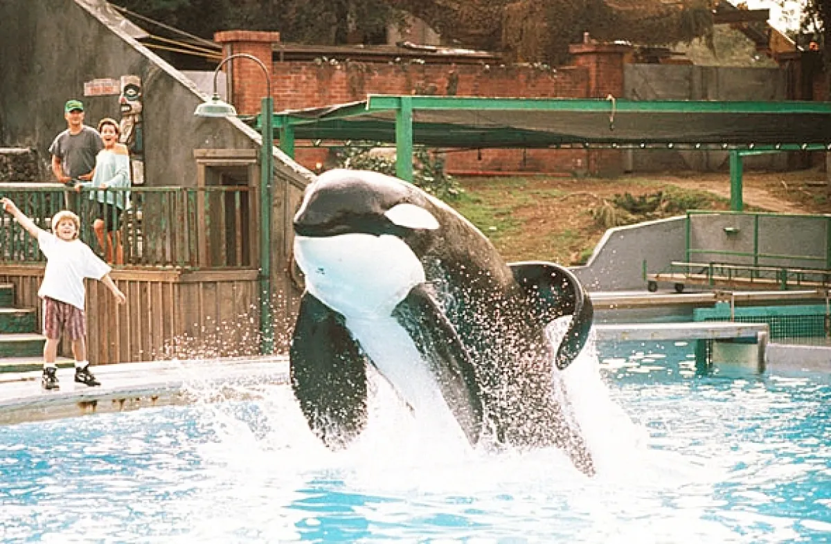 Zachráňte Willyho (Free Willy), 1993 - fotogaléria