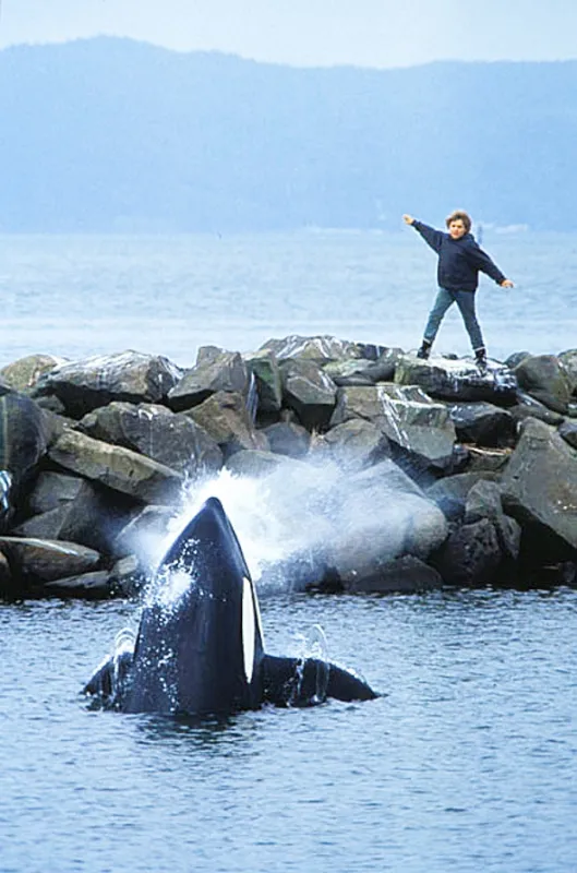 Zachráňte Willyho (Free Willy), 1993 - fotogaléria