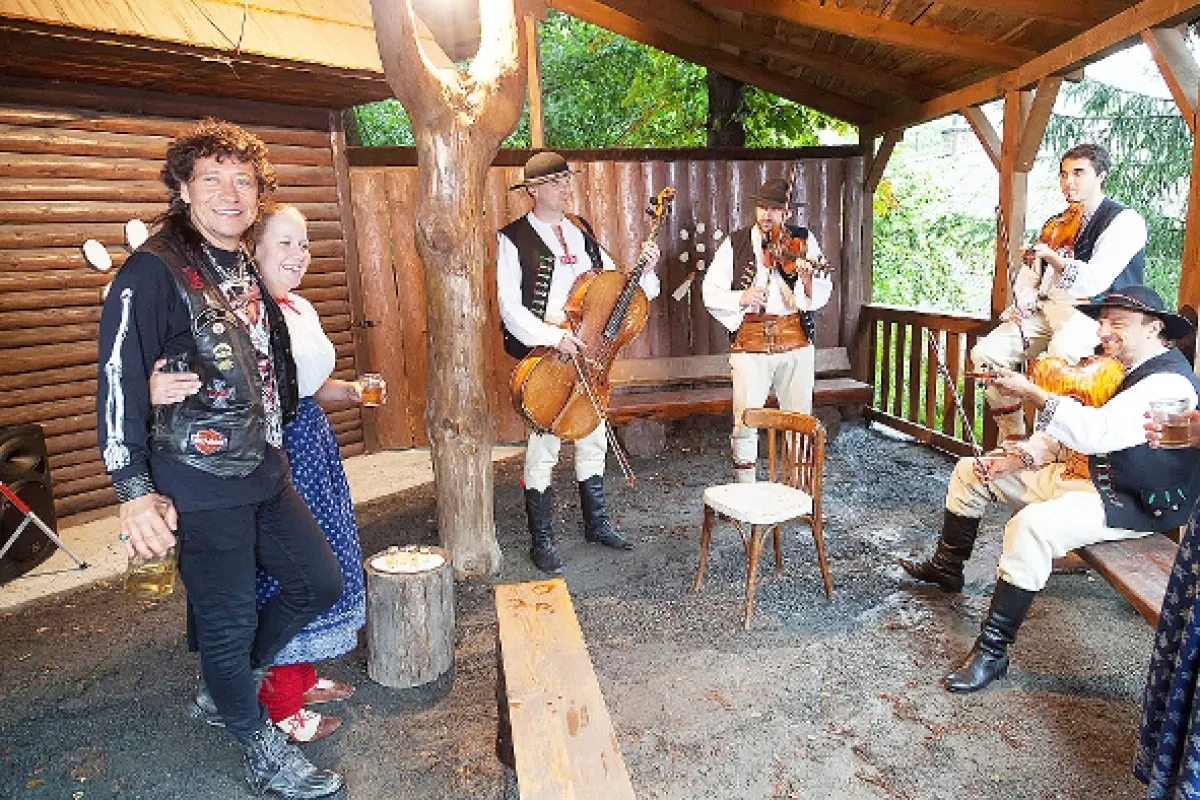 Muzzikanti, 2017 - fotogaléria