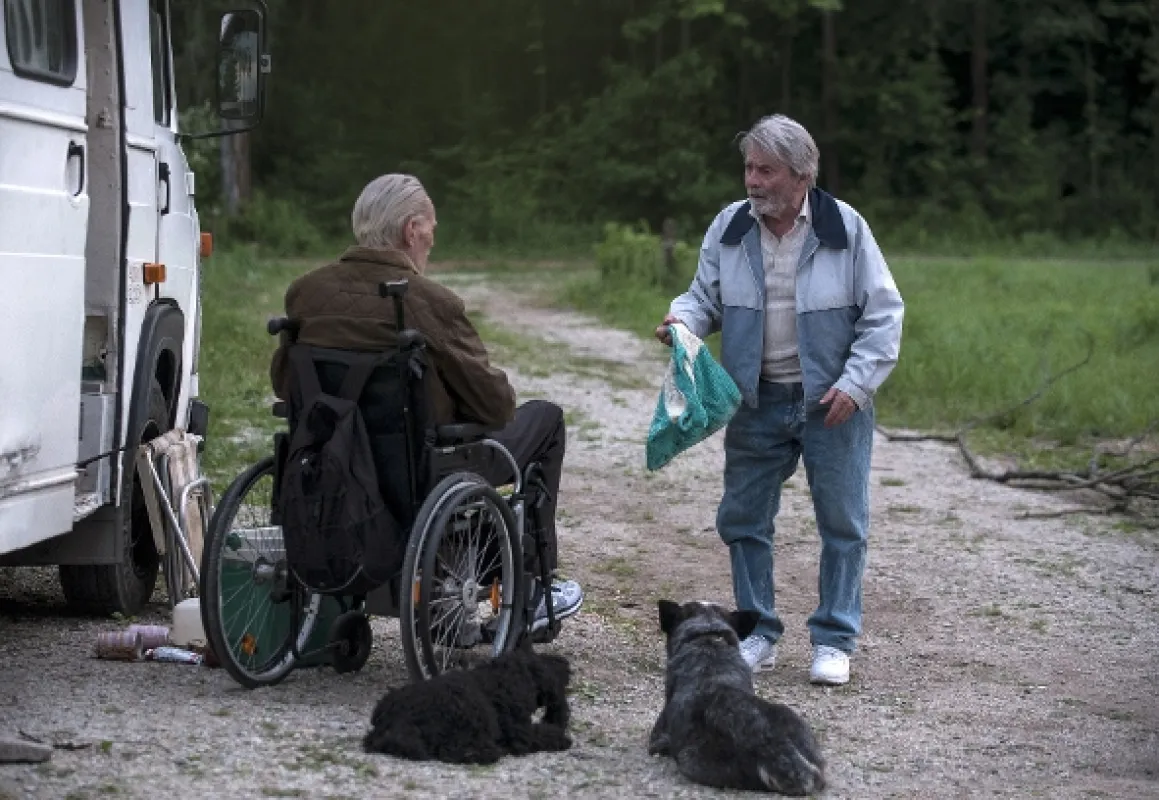 Staříci, 2019 - fotogaléria