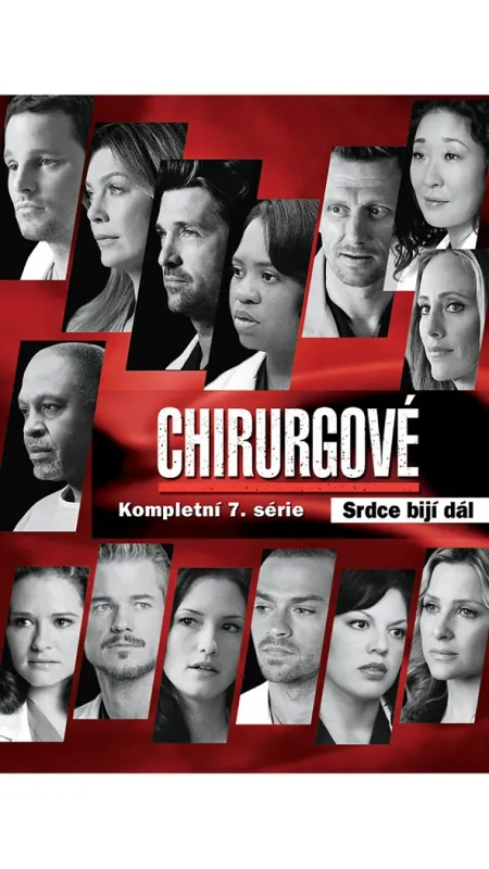 Chirurgové (GREY’S ANATOMY), 2011 - fotogaléria