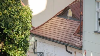 Španielska chrípka