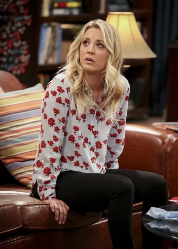 Teorie velkého třesku (Big Bang Theory, The XII), 2018 - fotogaléria