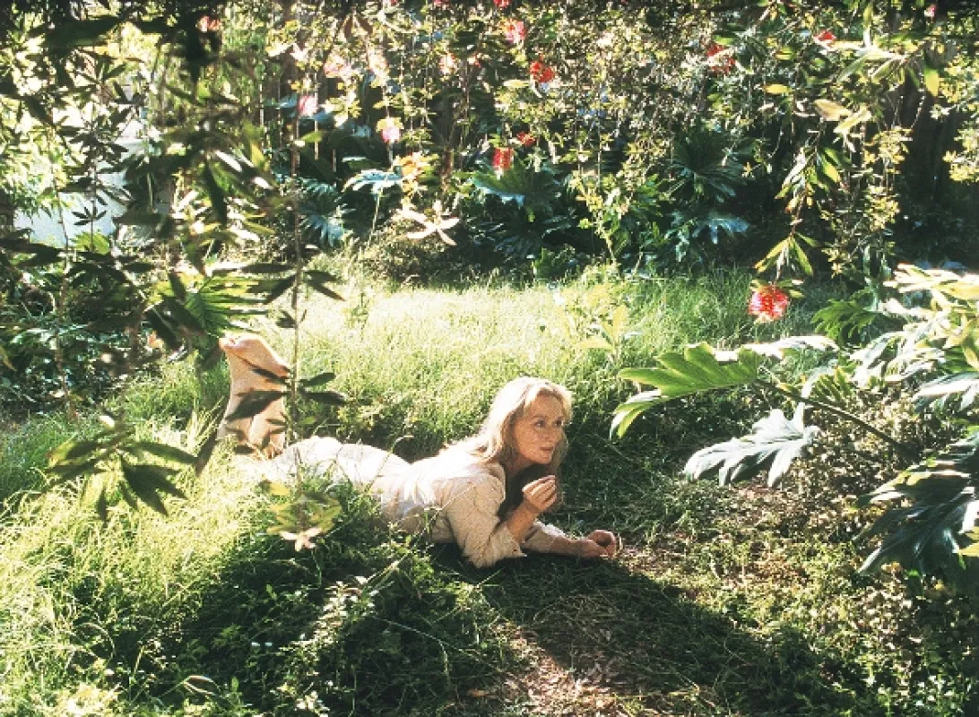 Adaptácia, 2002 - fotogaléria