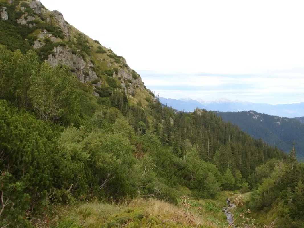 Návraty k divočine, 2011 - fotogaléria
