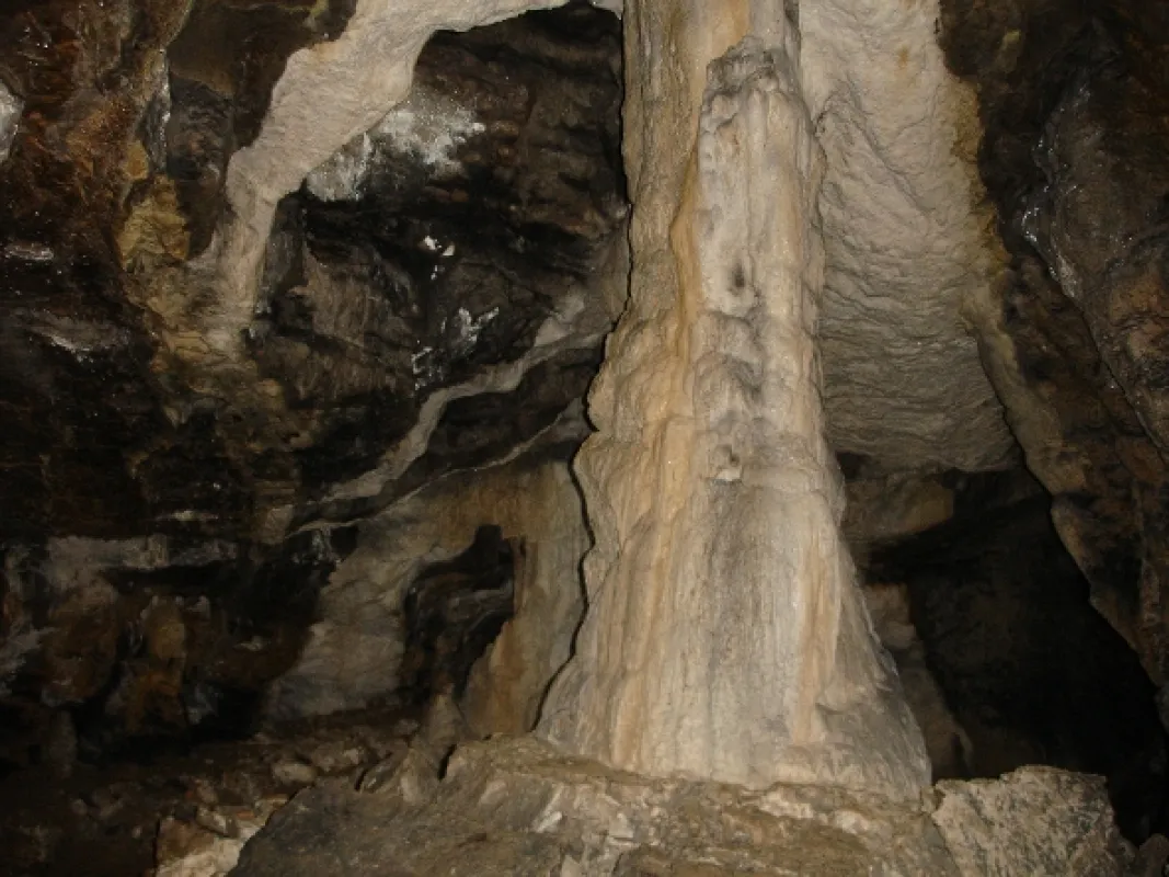 Návraty k divočine, 2011 - fotogaléria