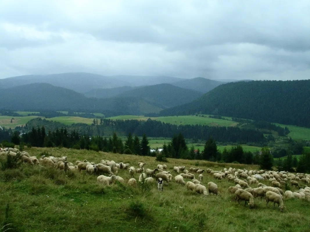 Návraty k divočine, 2011 - fotogaléria
