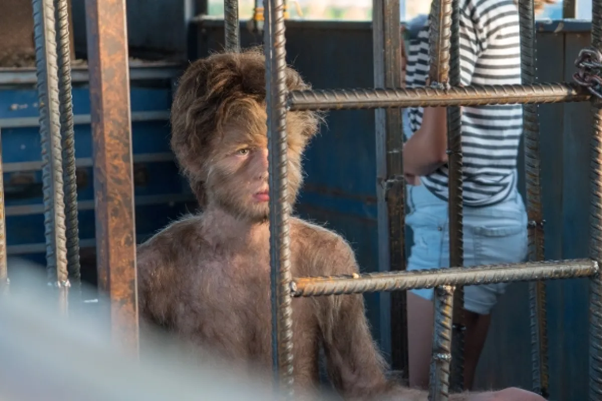 Podivuhodná dobrodružství Paula Harkera (The True Adventures of Wolfboy), 2019 - fotogaléria