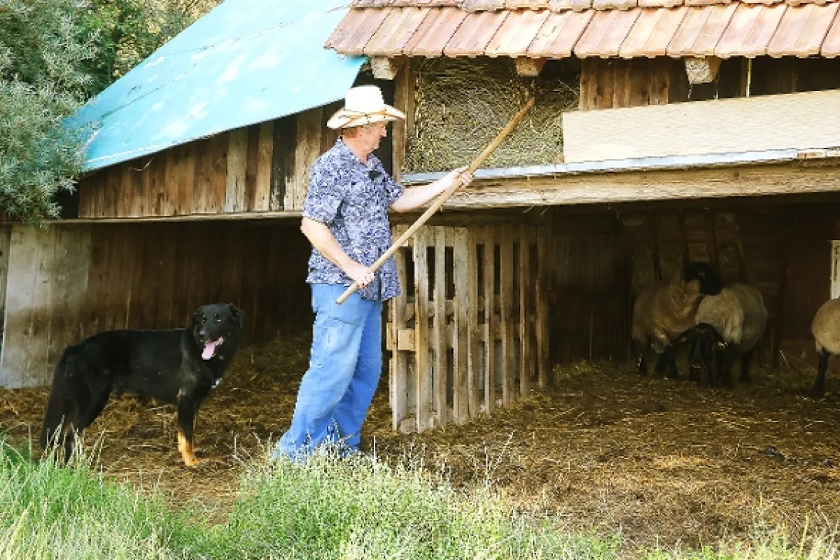 Farmář hledá ženu - fotogaléria
