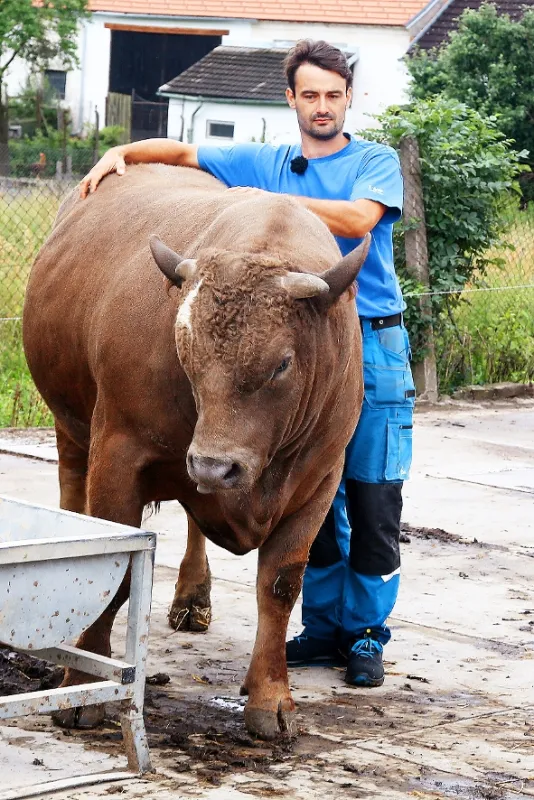 Farmář hledá ženu - fotogaléria