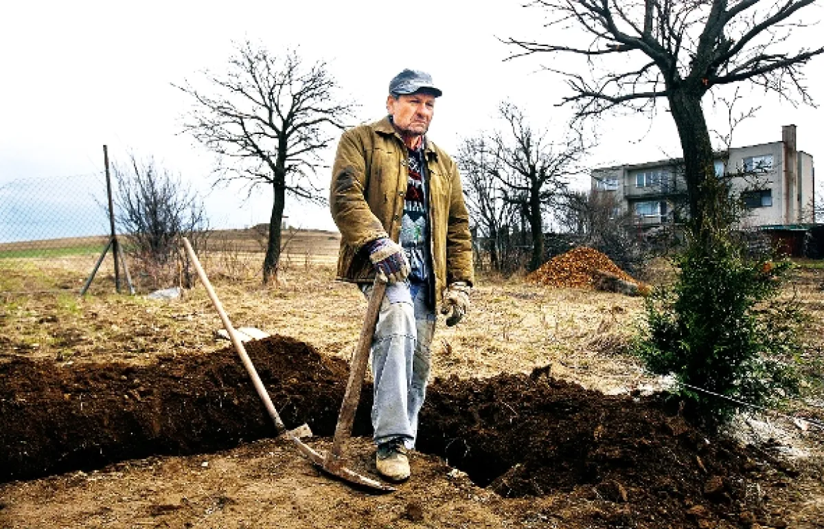 Dům, 2011 - fotogaléria