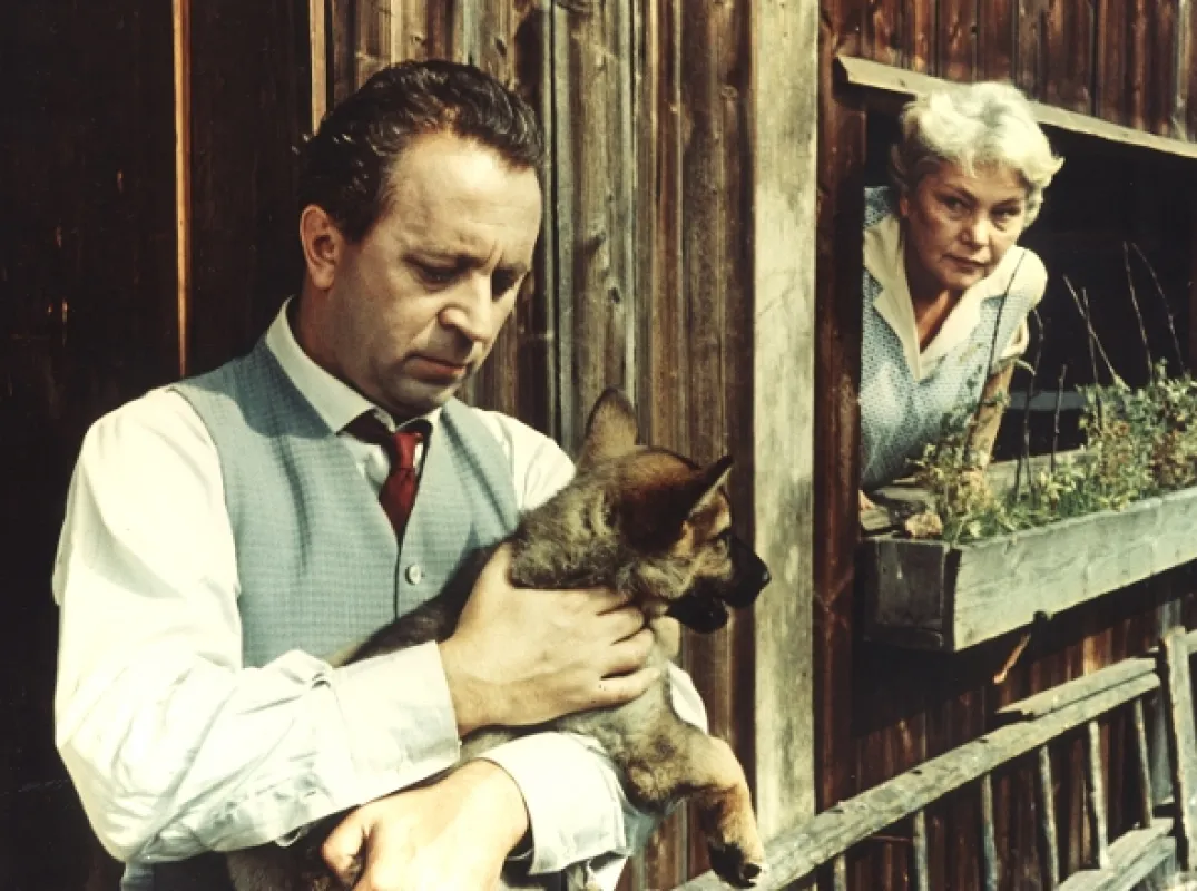 Táto, sežeň štěně!, 1964 - fotogaléria