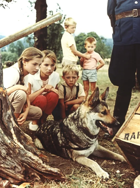 Táto, sežeň štěně!, 1964 - fotogaléria