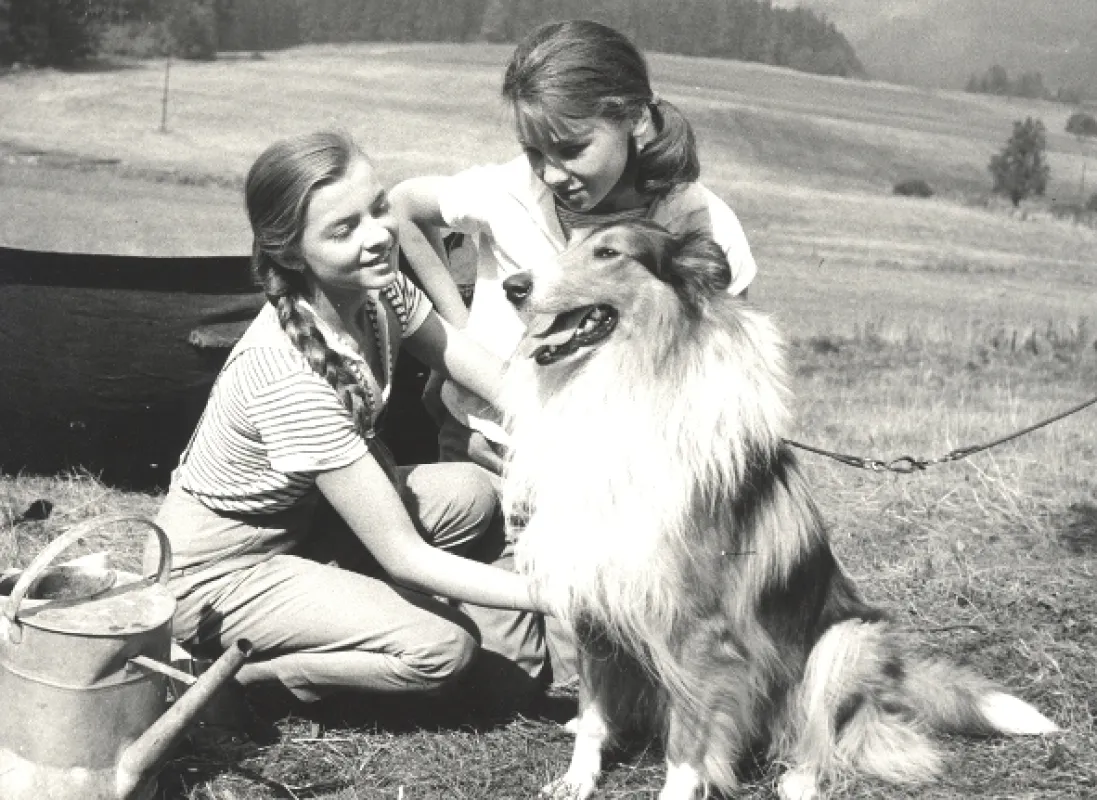 Táto, sežeň štěně!, 1964 - fotogaléria