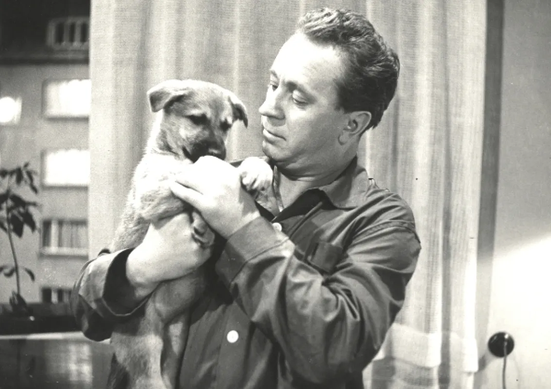 Táto, sežeň štěně!, 1964 - fotogaléria