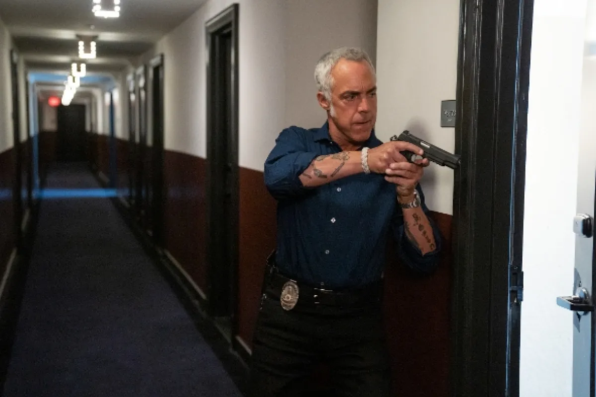 Bosch (BOSCH), 2019 - fotogaléria