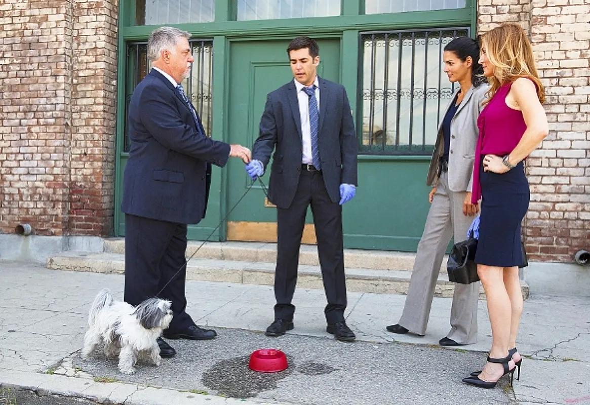 Rizzoli & Isles: Vraždy na pitevně (Rizzoli & Isles V), 2014 - fotogaléria