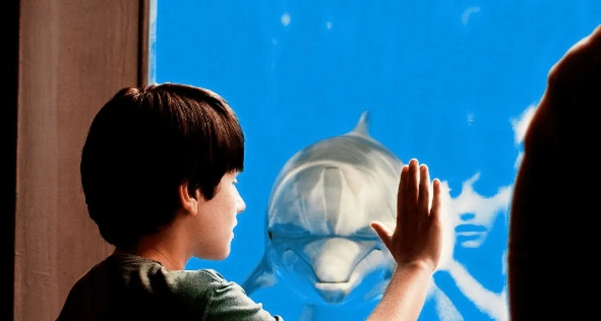 Najsilnejšie puto (Dolphin Tale), 2011 - fotogaléria
