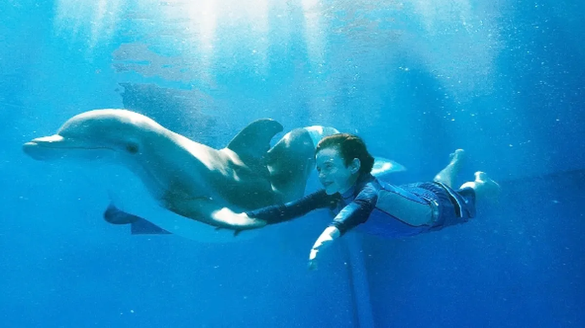 Najsilnejšie puto (Dolphin Tale), 2011 - fotogaléria