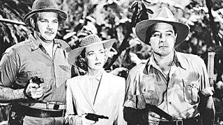 Abbott a Costello: Afrika volá