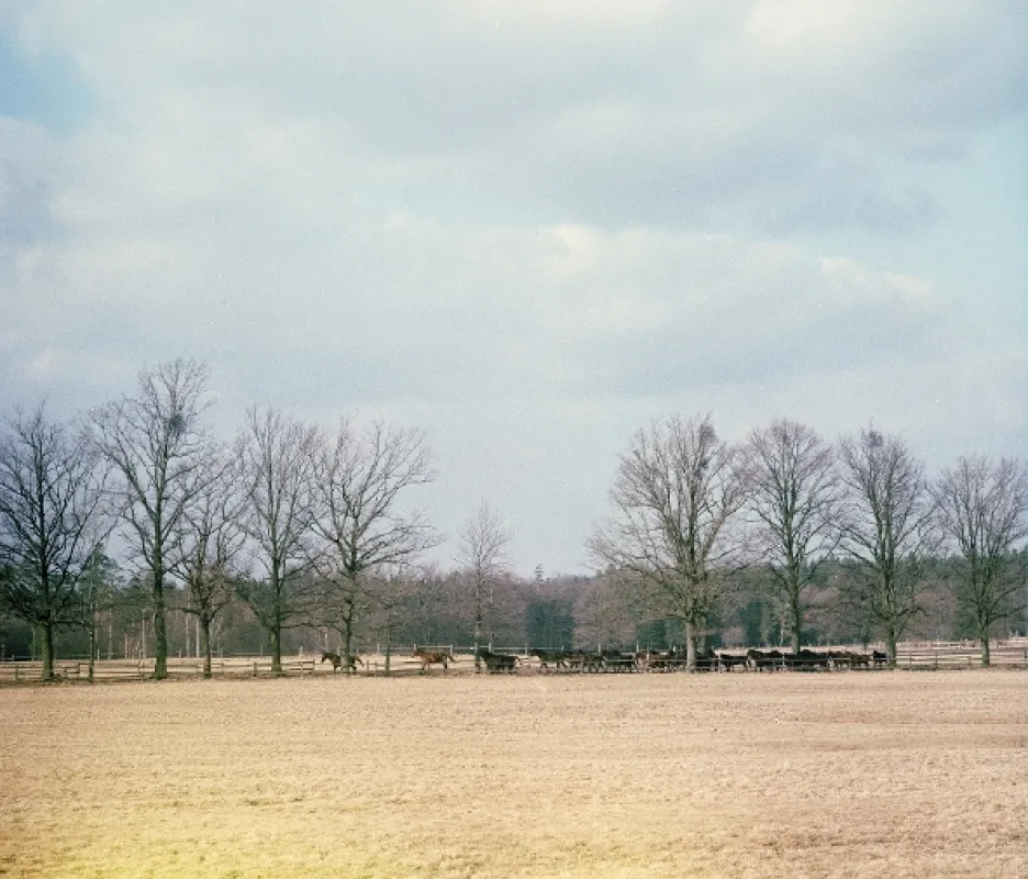 Dobrá Voda (Dobrá Voda – Zklamání), 1982 - fotogaléria