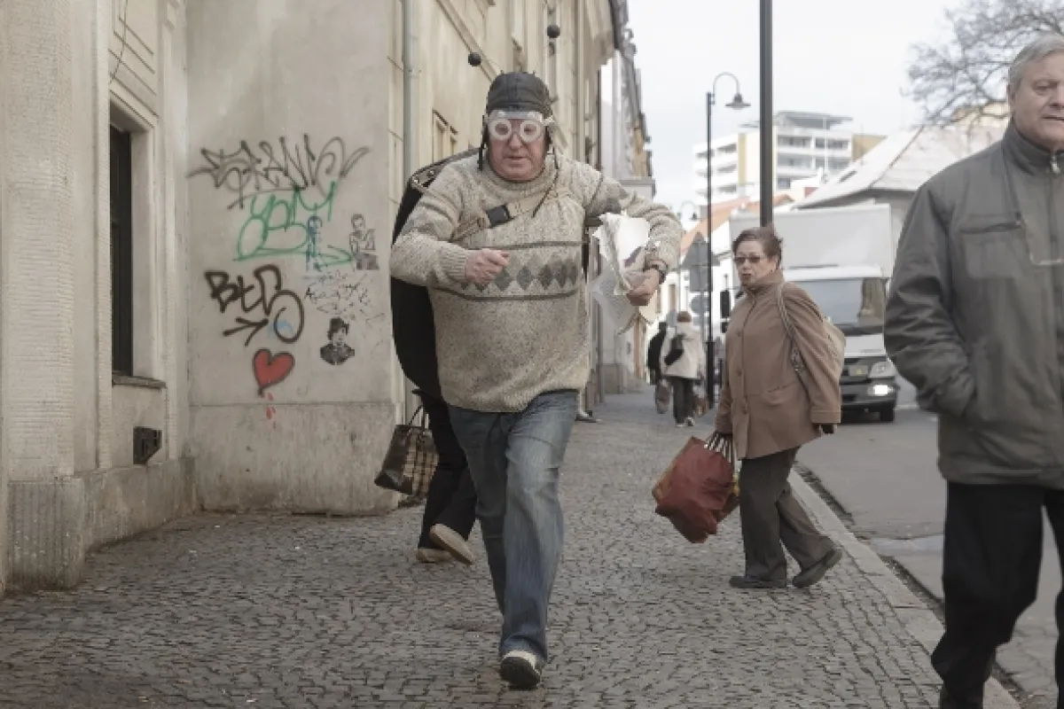 Hmyz, 2018 - fotogaléria