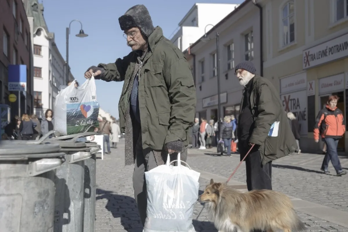 Hmyz, 2018 - fotogaléria