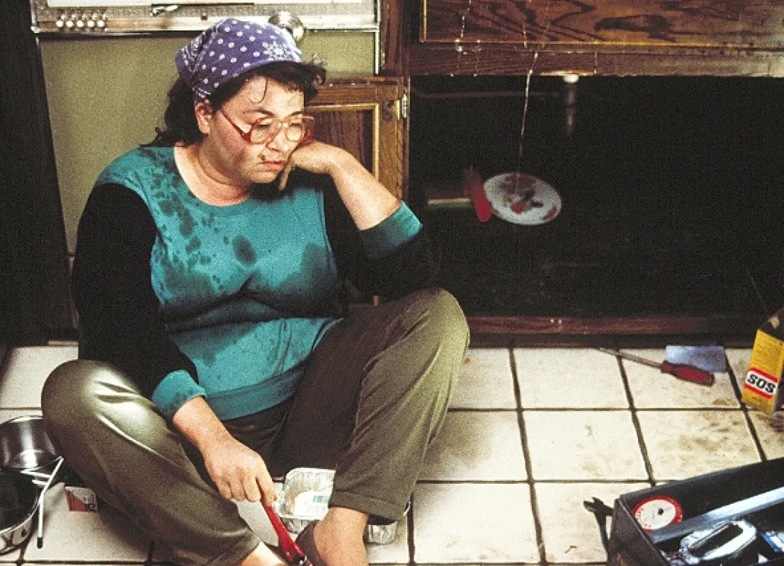 Ďáblice (She-Devil), 1989 - fotogaléria