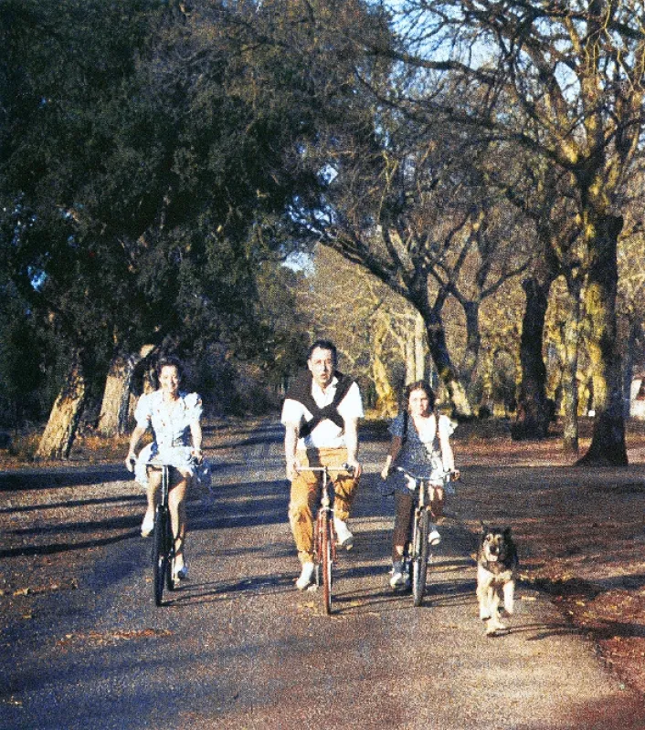 Stará puška (Le vieux fusil), 1975 - fotogaléria