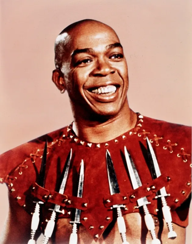 Nepřemožitelný bukanýr (Swashbuckler), 1976 - fotogaléria