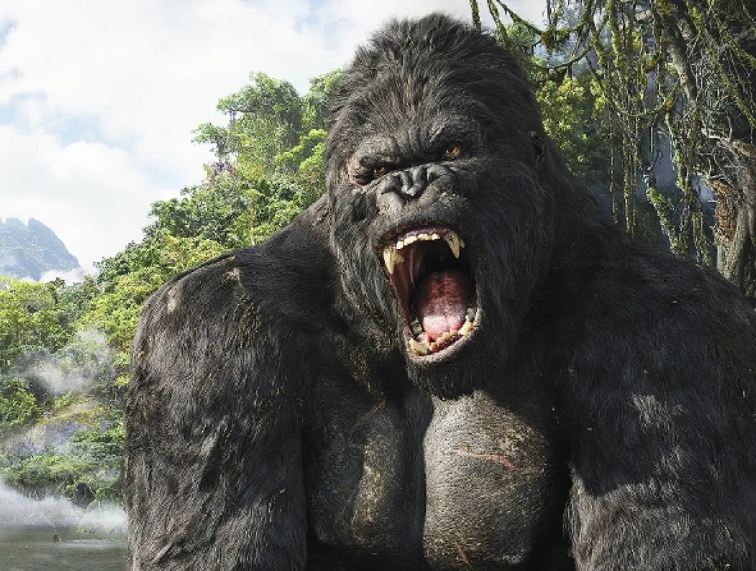 King Kong, 2005 - fotogaléria