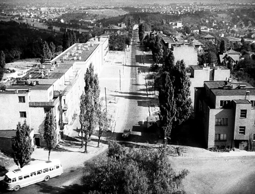 Kouzelný kopec - fotogaléria