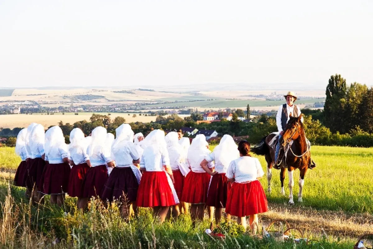Dědictví aneb Kurvaseneříká, 2014 - fotogaléria