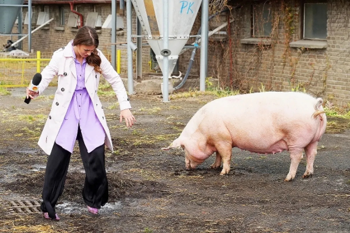 Dobré zprávy, 2023 - fotogaléria