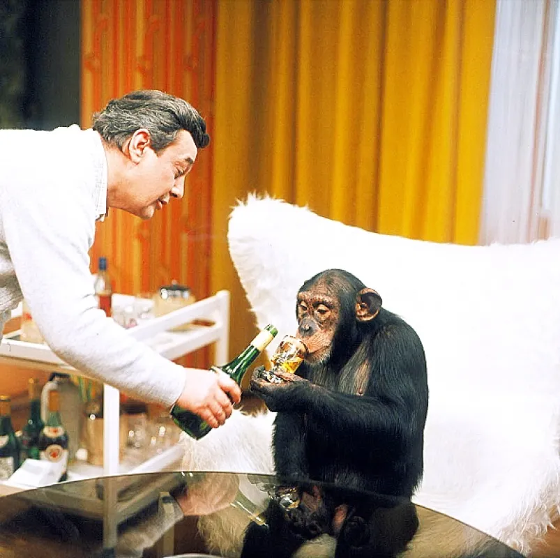 Hop – a je tu lidoop, 1977 - fotogaléria