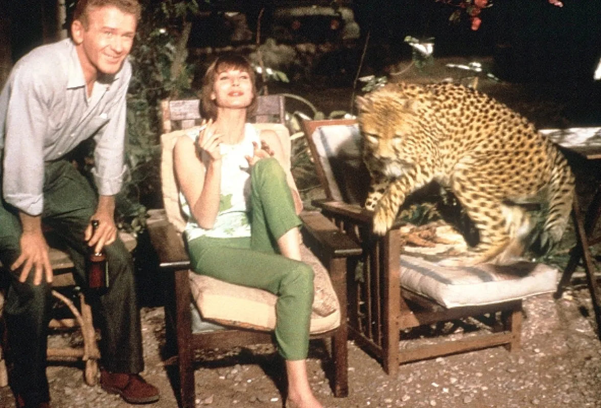 Hatari!, 1962 - fotogaléria