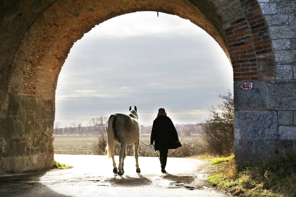 Kůň (Kôň), 2022 - fotogaléria