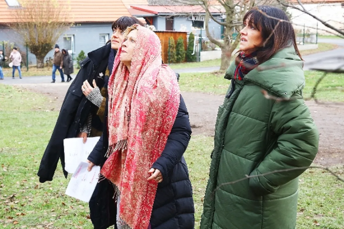 Slunečná, 2020 - fotogaléria