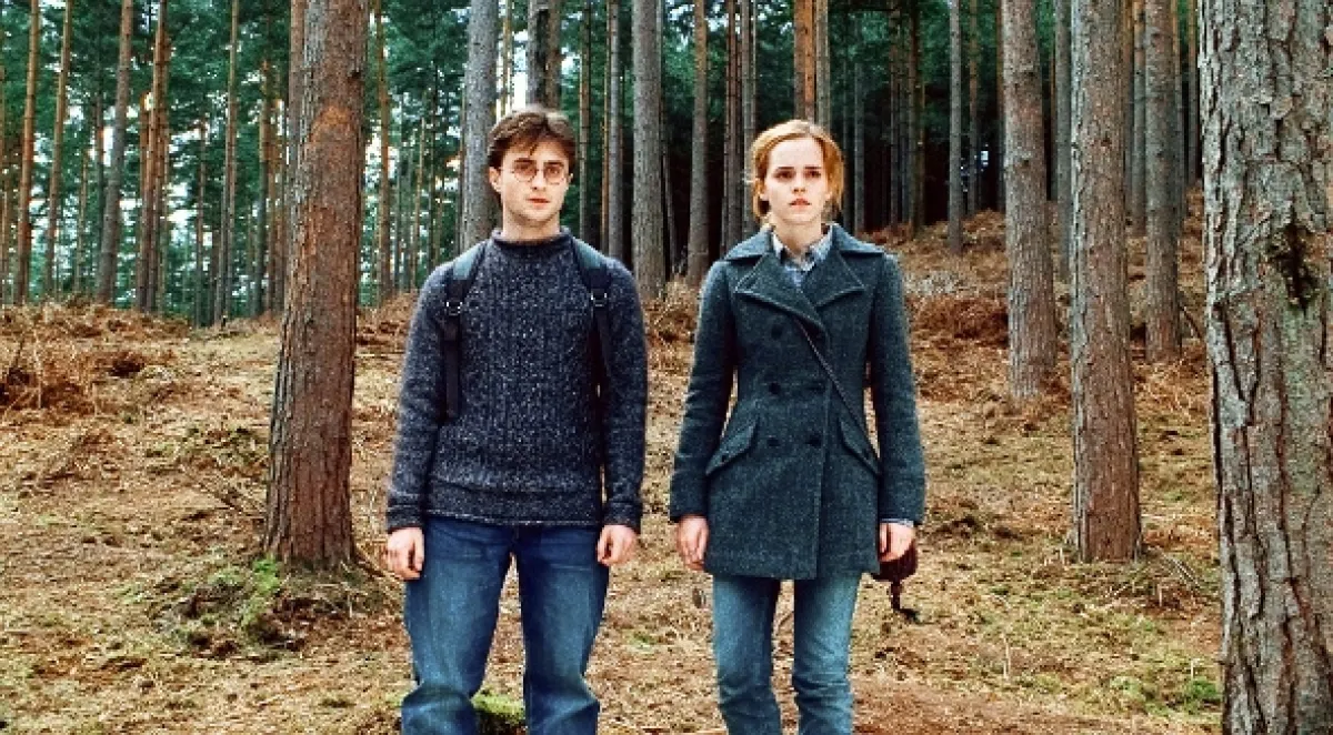 Harry Potter a Dary smrti 1 (Harry Potter and the Deathly Hallows: Part 1), 2010 - fotogaléria