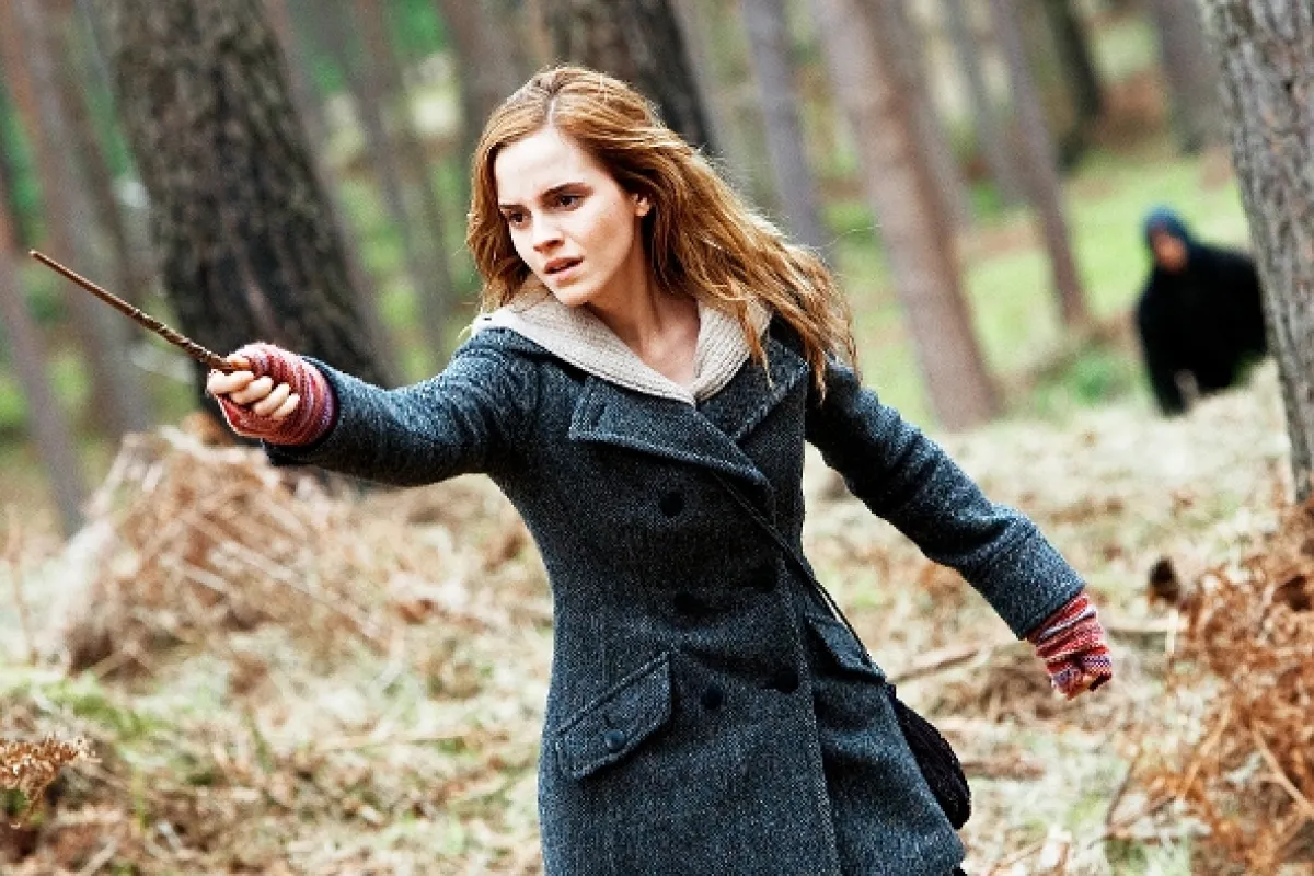 Harry Potter a Dary smrti 1 (Harry Potter and the Deathly Hallows: Part 1), 2010 - fotogaléria