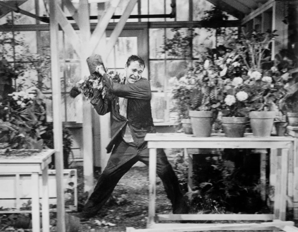 Dny vína a růží (Days of Wine and Roses), 1962 - fotogaléria