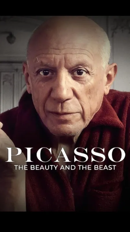 Picasso - fotogaléria
