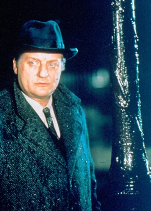 Maigret a rozkoše noci (Maigret et les plaisirs de la nuit), 1992 - fotogaléria