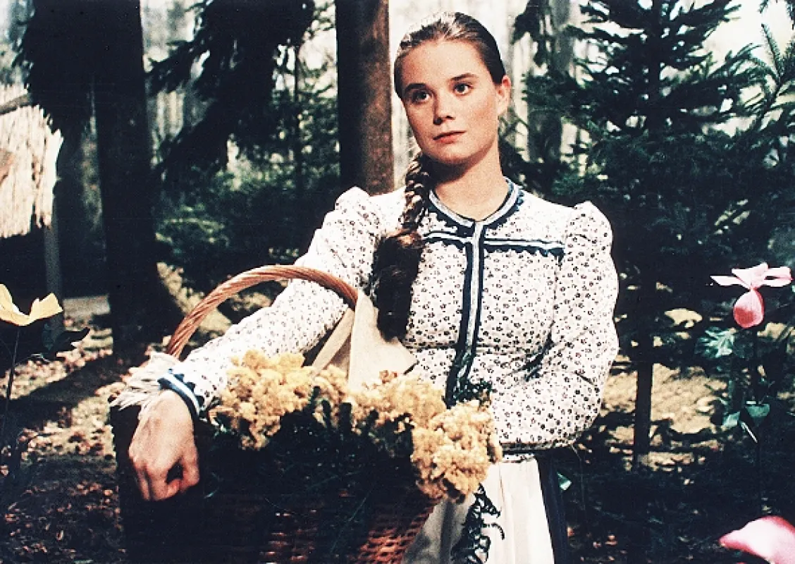 Ako vyliečiť Ježibabu, 1997 - fotogaléria