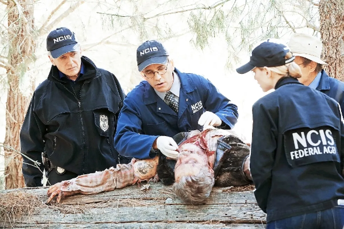 NCIS - Námorný vyšetrovací úrad, 2015 - fotogaléria