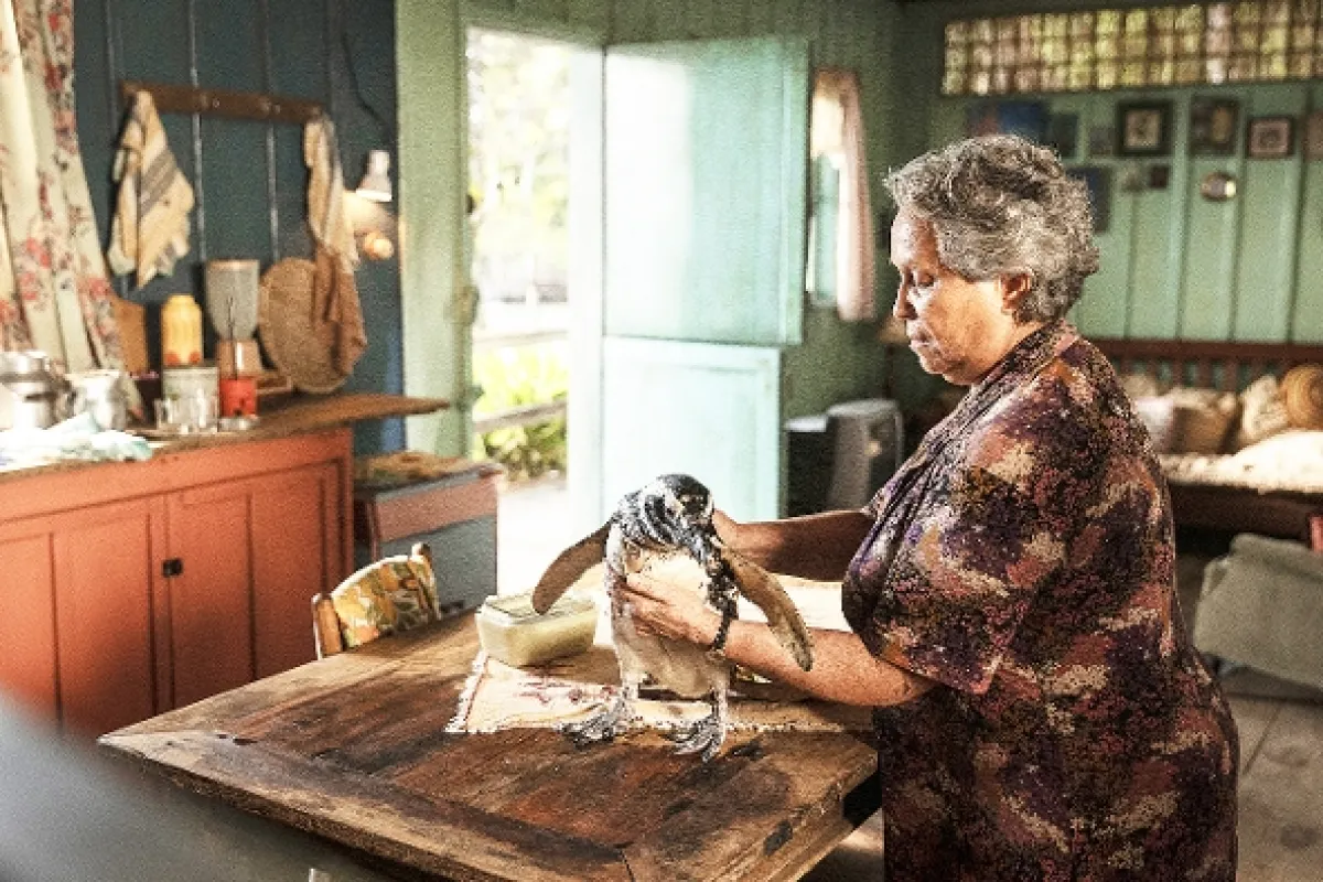 Môj kamarát tučniak (My Penguin Friend), 2024 - fotogaléria