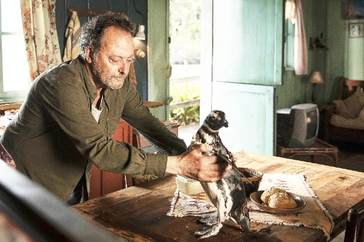Môj kamarát tučniak (My Penguin Friend), 2024 - fotogaléria