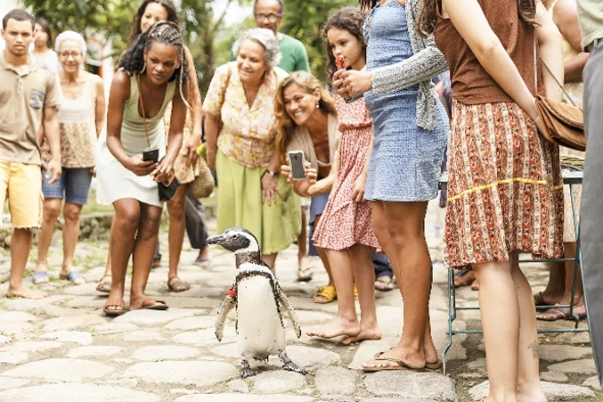 Môj kamarát tučniak (My Penguin Friend), 2024 - fotogaléria