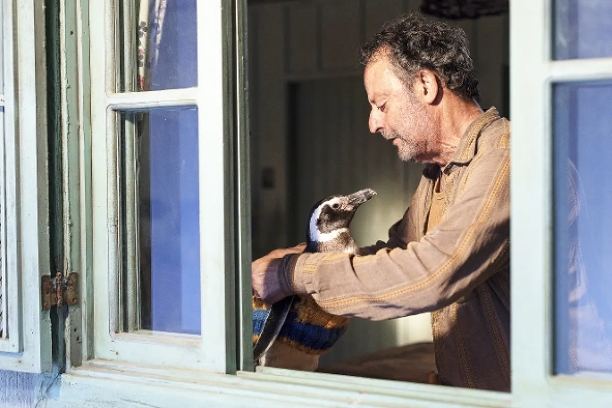 Môj kamarát tučniak (My Penguin Friend), 2024 - fotogaléria